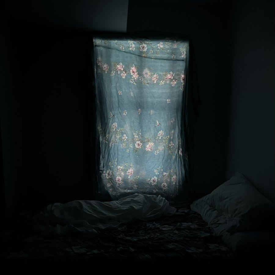 Cover of Quiescent Response